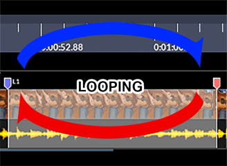 Video Surgeon Looping